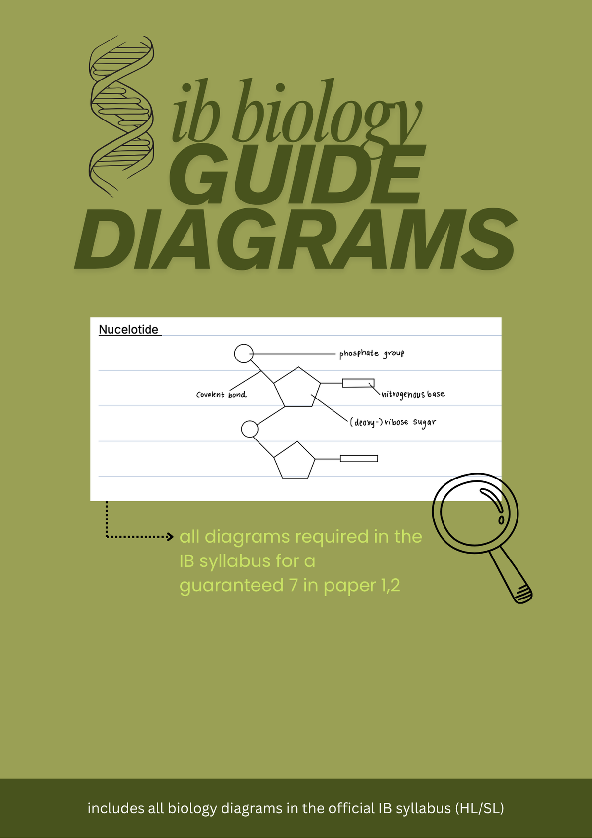 IB Biology SL/HL Syllabus Diagrams